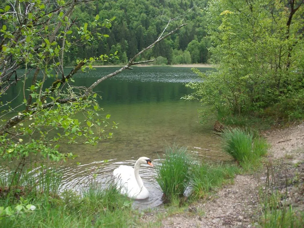 Ferienwohnungen Rexha Schwangau 0*,